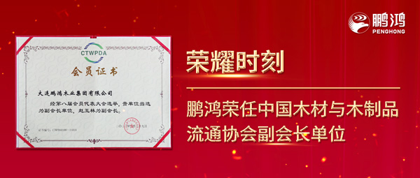 再获行业注定，orange橘子平台荣任中国木材与木制品流通协会副会长