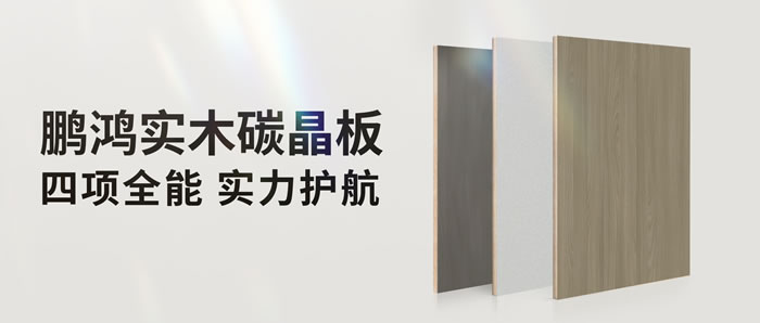 四项全能碳晶板，解锁家装超能力